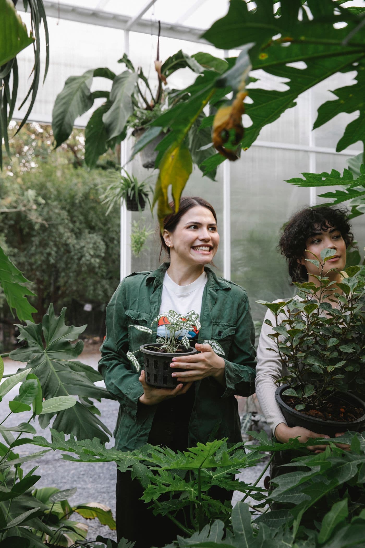 Two gardeners holding plants in a bright greenhouse